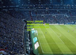 kaiyun_索斯盖特揭秘凯恩点球艺术，赛前定向与训练精炼塑造决胜时刻