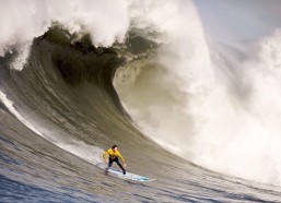 【kaiyun】旧金山双子星陷黑暗时刻，王俊杰下半场遭弃用，赵维伦登场无门，留洋之路遇严峻考验