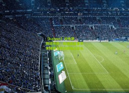 【kaiyun】闪电狼铸就传奇！英雄联盟春季常规赛全胜战绩独占鳌头