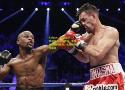 kaiyun：越南足球失利引发足坛震荡，主席请辞转向政务，未来改革受瞩目