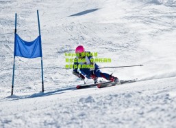 kaiyun-巴西队体育总监披露，世界杯前热身赛首选挪威队