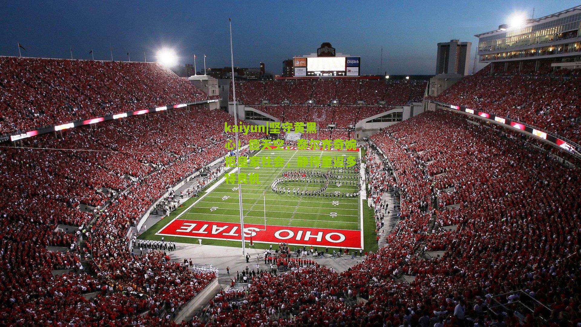 坚守黄黑心！德天空，泰尔齐奇婉拒皇家社会，静待重返多特良机